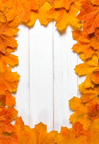 istock Yellow maple leaves lie on a white tree table. Background 1178373034