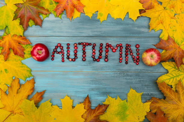 istock Autumn leaves AUTUMN text 1178373861