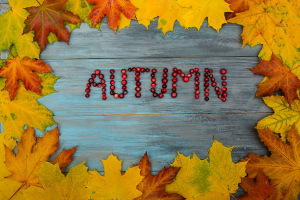 istock Autumn leaves AUTUMN text 1178373905