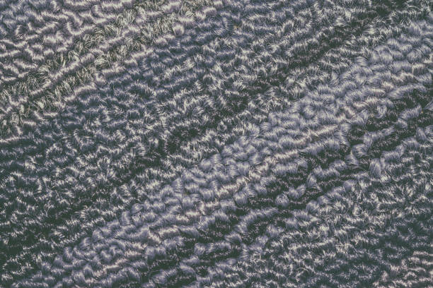 istock blue and sky and gray carpet background texture 1178374090
