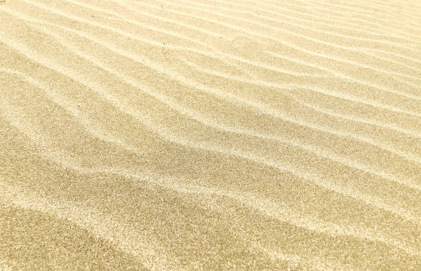 istock Close-Up Of Sand Background Texture 1178375375