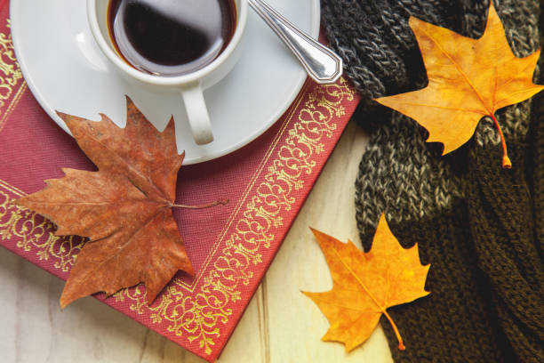 istock Autumn cup of coffee with a book to relax 1178379456