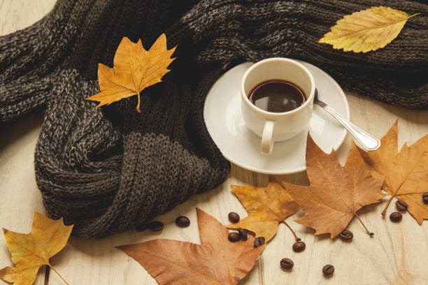 istock Hot coffee next to a scarf in the morning 1178379467