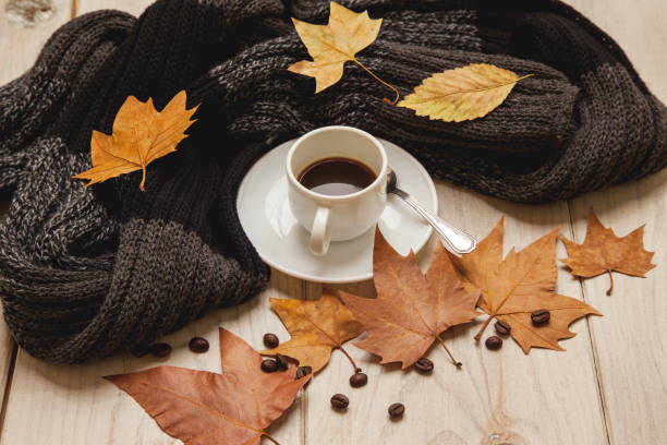 istock Coffee mug with a scarf in autumn 1178379494