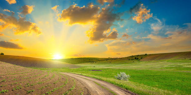 istock Dirt road on panoramic agricultural landscape with bright sunset 1178380482