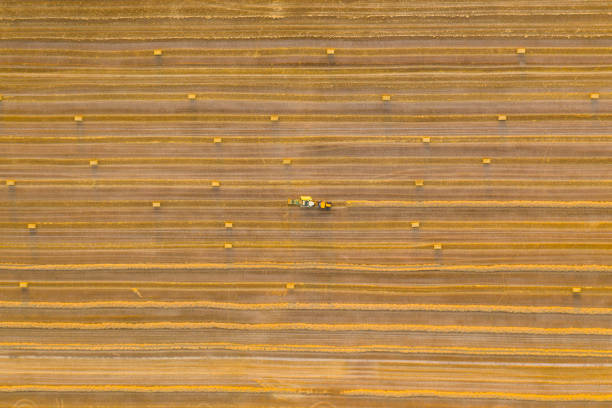 istock Aerial view of cereal fields after the harvest. There is haystack and tractor tread 1178385007