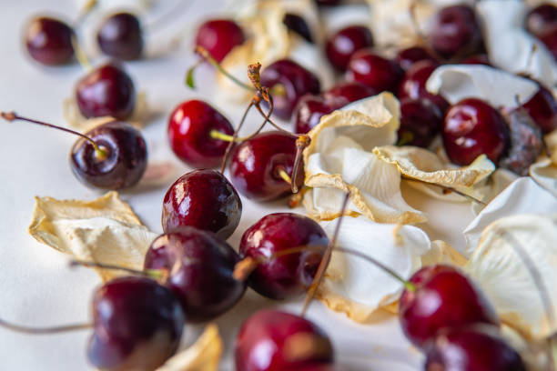 Spoiled sweet cherry from the fridge, rotten fruits. Isolated on white background. Moldy red berry. Drops of condensation on the skin. Food poisoning.