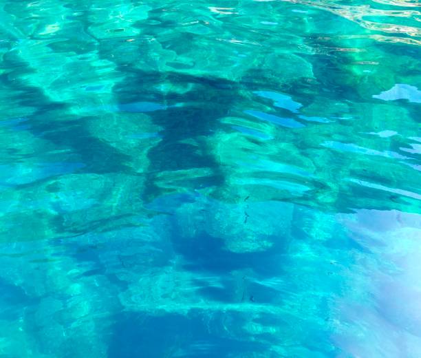 istock The coast of Elba island 1178386717