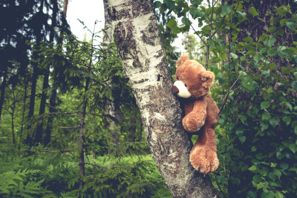 istock Cute brown Bear animal doll on nature background. 1178387443