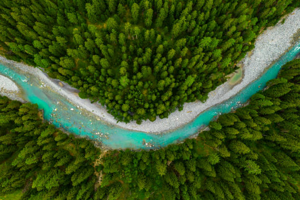 スイスの森に流れるイン川。山の青い川のドローンからの航空写真 - inn river ストックフォトと画像