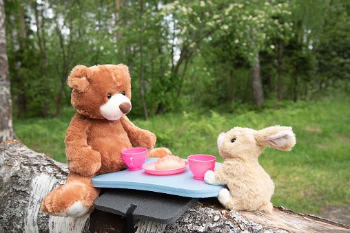 Cute stuffed animals having a tea party, children’s toys
