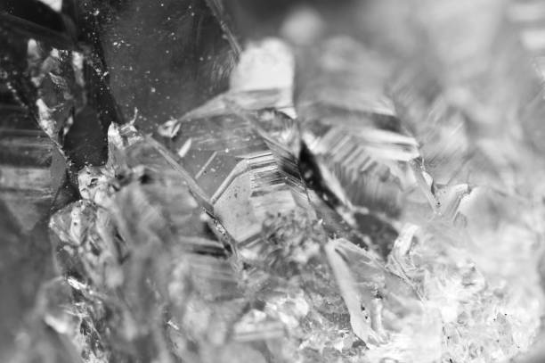 Ice crystals on leaf
