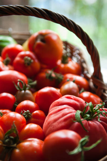 istock Red tomatoes in a wicker basket 1178390402