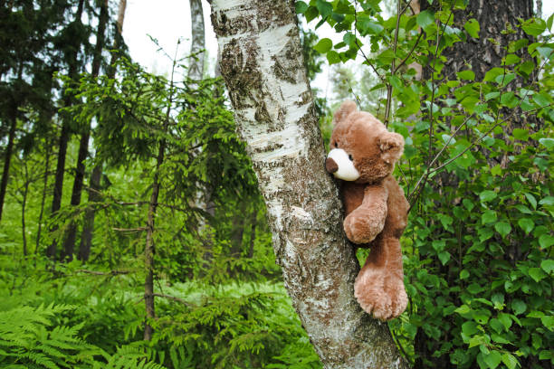istock Cute brown teddy Bear animal doll on nature background. 1178390858