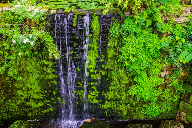 istock beautiful streaming waterfall, tropical garden architecture, nature background 1178392687