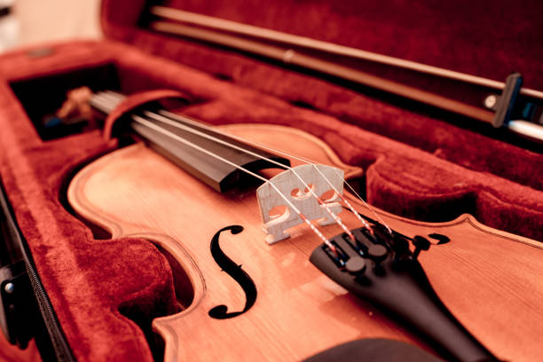 Isolated violin and bow.