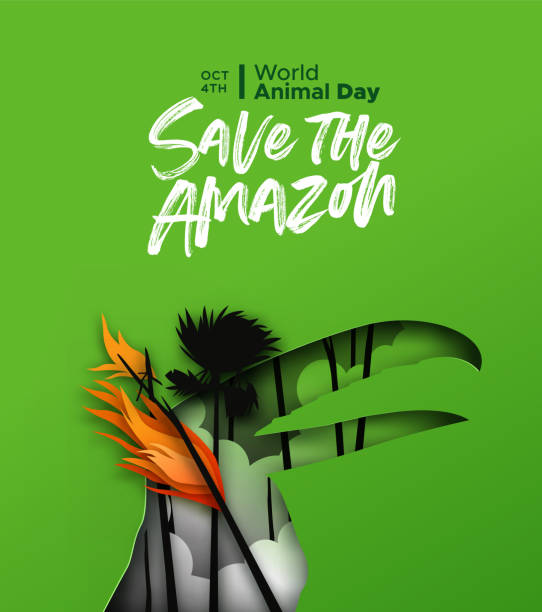 World Animal day amazon fire paper cut toucan bird Save the amazon papercut illustration for world animal day. Paper cut toucan bird with forest fire landscape in 3d cutout style. Endangered species conservation or rainforest deforestation concept. amazonia stock illustrations