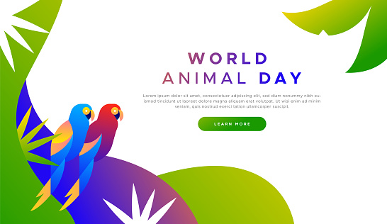 World animal day landing web page background template of exotic tropical macaw birds in modern flat vibrant gradient style. Endangered species protection or wildlife conservation concept for online campaign.