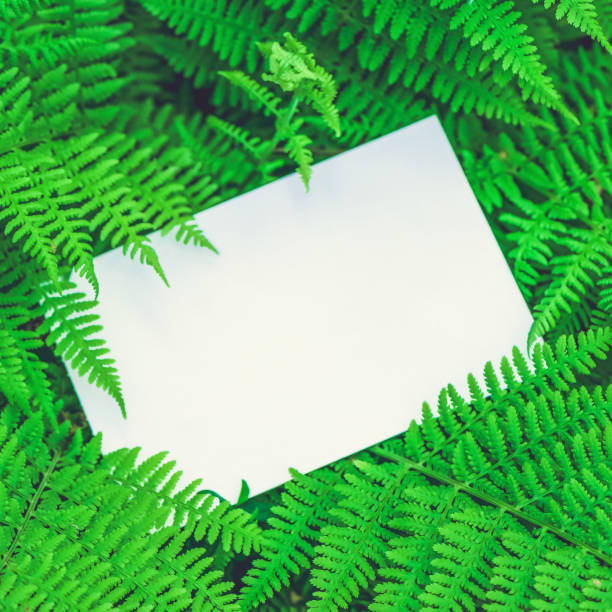 istock Blank white paper on a green leaves. Top view. 1178394886