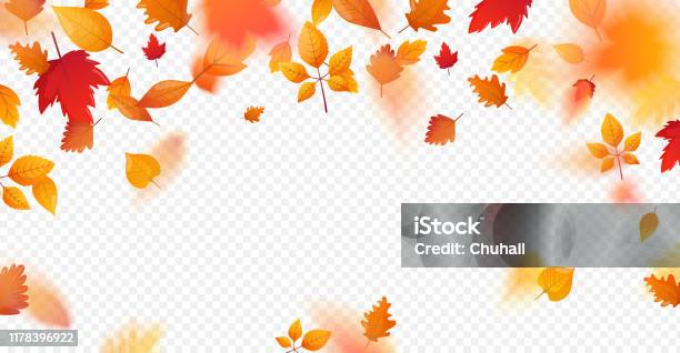 오렌지 가을 다채로운 잎 비행 떨어지는 효과 가을에 대한 스톡 벡터 아트 및 기타 이미지 - 가을, 떨어짐, 잎