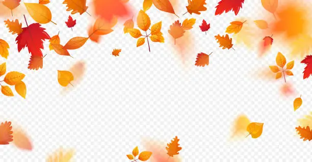 Vector illustration of Orange fall colorful leaves flying falling effect.