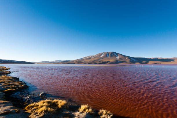 istock Laguna Colorada view, Bolivia 1178403945