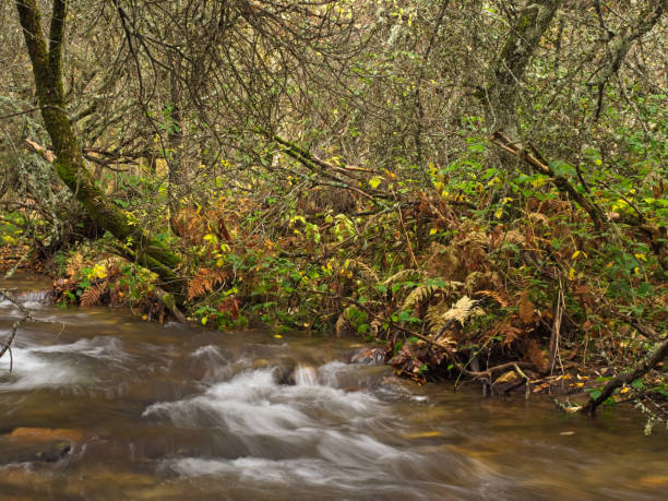 istock The rapid water stream of the Jarama river 1178404521