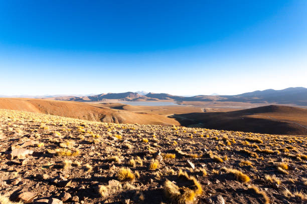 istock Morejon lagoon view, Bolivia 1178406761