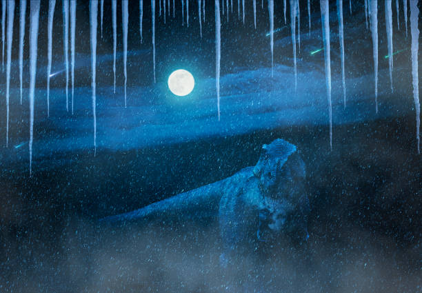 Figure of tyrannosaurus rex, reptile from the Campanian age of the Cretaceous period, technique of photoshop placed on winter moonlight