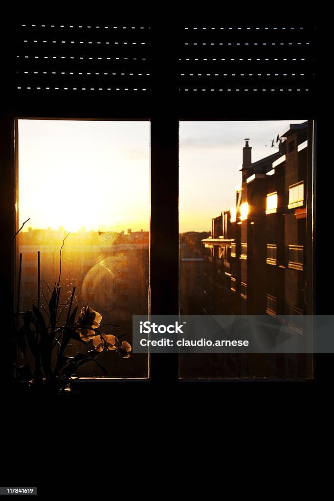 Chiuso Windows con orchidea al tramonto. Immagine a colori - Foto stock royalty-free di Ambientazione interna