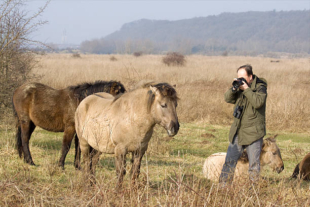 istock nature photography 117841688