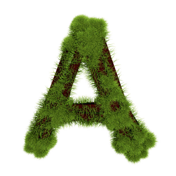 istock Grass letter A isolated on white background. Symbol covered green grass. Eco letter. 3d illustration 1178419476