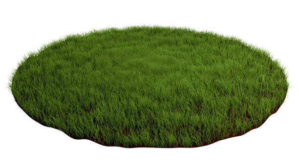 naturrasen arena. runde fläche mit gras bedeckt, gras-podium, rasen hintergrund. 3d-illustration - patchwork stock-fotos und bilder