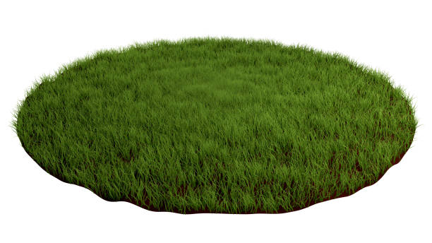 природная трава арене. круглая поверхность покрыта травой, травяной подиум, газонный фон. 3d иллюстрация - patchwork стоковые фото и изображения