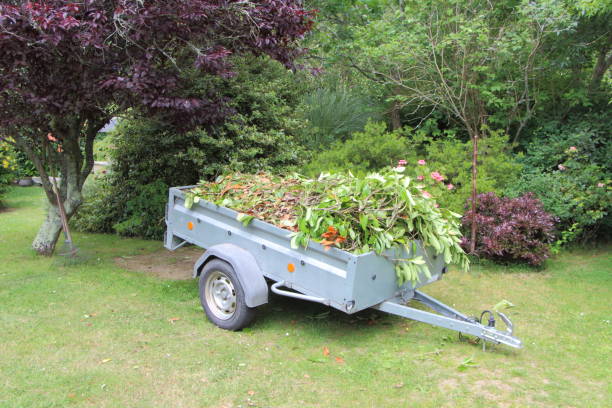 przyczepa pełna odpadów ogrodowych - garden waste zdjęcia i obrazy z banku zdjęć