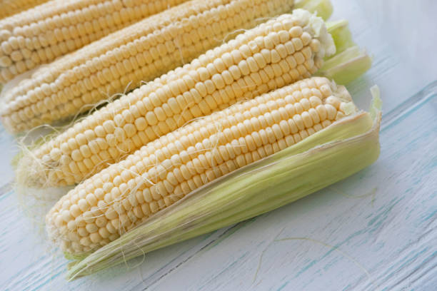 istock Background with fresh corn close-up. Farm harvest 1178424011