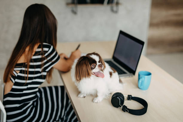 istock Cute dog in office 1178429436