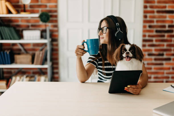 istock Cute dog in office 1178429560