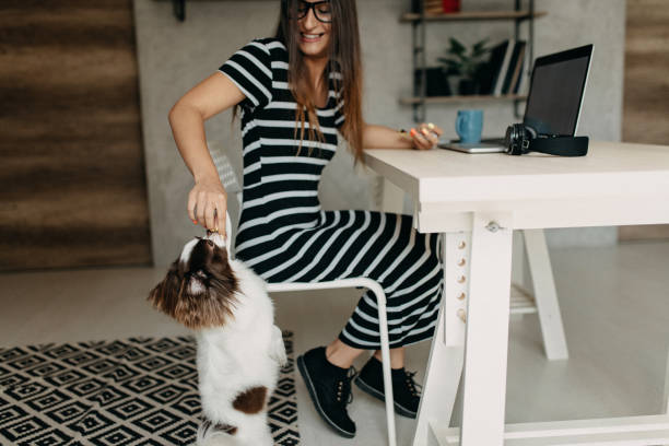 istock Cute dog in office 1178430604