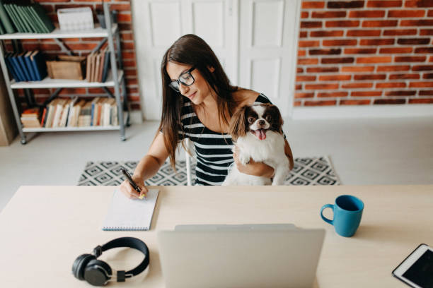 istock Cute dog in office 1178430675