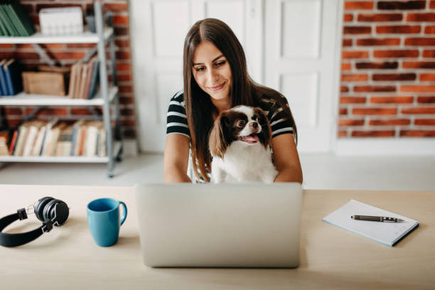 istock You make my job easyer 1178430843