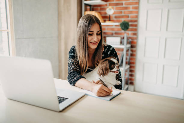 istock You make my job easyer 1178430897