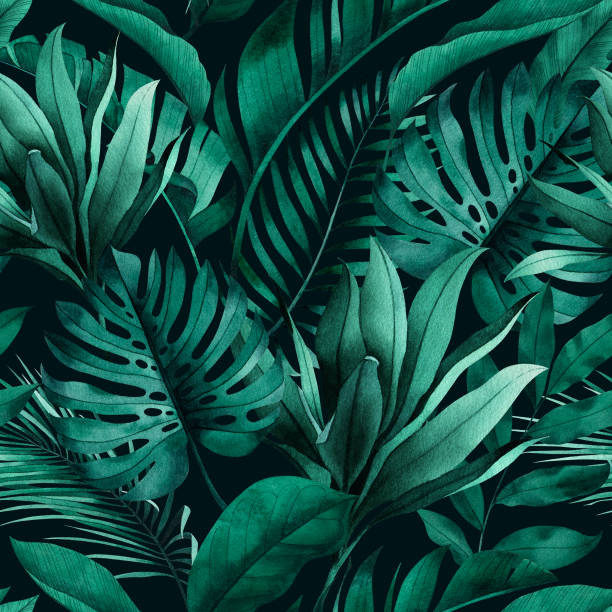 tropikalny bezszwowy wzór z egzotycznymi monsterami, bananami i liśćmi palmowymi na ciemnym tle. - egzotyczne drzewo obrazy stock illustrations
