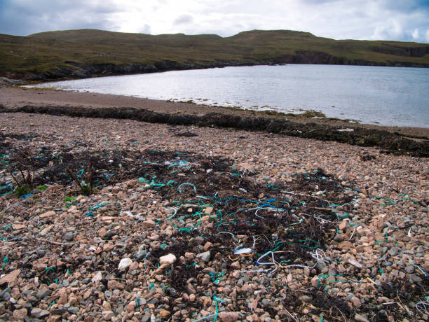 istock Plastic pollution - waste washed up on Muckle Roe, Shetland, UK - an assortment of plastic items washed in from the sea 1178433168