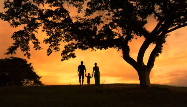 Photo of Silhouette of family holding hands walking in the park at sunset. Family lifestyle.