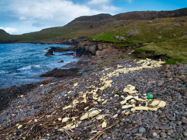 istock Plastic pollution - waste washed up on Muckle Roe, Shetland, UK - plastic washed in from the sea 1178433376