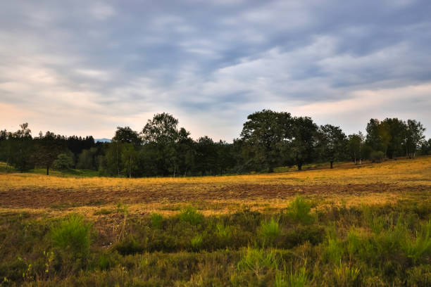 istock moorland landscape in hdr 1178438151