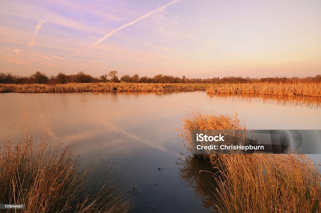 Marschland Landschaft - Lizenzfrei Abenddämmerung Stock-Foto