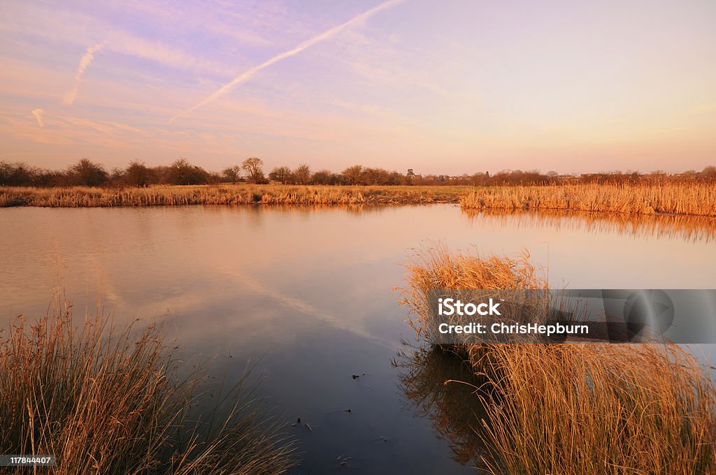 Marshland 풍경 - 로열티 프리 0명 스톡 사진