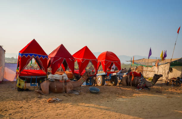 istock Camel Cart at Pushkar Camel Fair (Pushkar Mela) in Pushkar, Rajasthan, India 1178444405